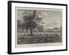 Studley Royal-William Henry James Boot-Framed Giclee Print