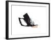 Study 11-Jaime Derringer-Framed Giclee Print