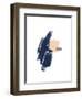 Study 15-Jaime Derringer-Framed Giclee Print