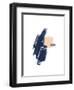 Study 15-Jaime Derringer-Framed Giclee Print