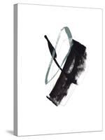 Study 16-Jaime Derringer-Stretched Canvas