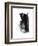 Study 20-Jaime Derringer-Framed Giclee Print