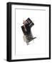 Study 23-Jaime Derringer-Framed Giclee Print