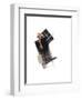 Study 23-Jaime Derringer-Framed Giclee Print