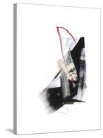 Study 24-Jaime Derringer-Stretched Canvas
