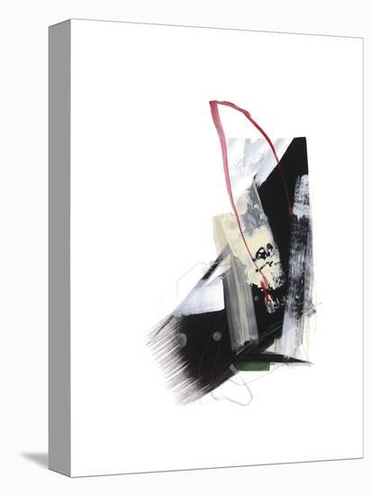 Study 24-Jaime Derringer-Stretched Canvas