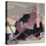 Study 43-Jaime Derringer-Stretched Canvas