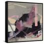 Study 43-Jaime Derringer-Framed Stretched Canvas
