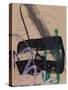 Study 45-Jaime Derringer-Stretched Canvas