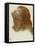 Study after 'Astarte Syriaca'-Dante Gabriel Charles Rossetti-Framed Stretched Canvas