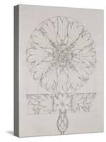 Study for a Cornflower, 1808-Philipp Otto Runge-Stretched Canvas