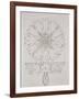 Study for a Cornflower, 1808-Philipp Otto Runge-Framed Giclee Print