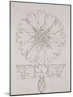 Study for a Cornflower, 1808-Philipp Otto Runge-Mounted Giclee Print