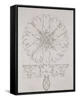 Study for a Cornflower, 1808-Philipp Otto Runge-Framed Stretched Canvas