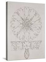 Study for a Cornflower, 1808-Philipp Otto Runge-Stretched Canvas