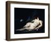 Study for a Woman Sleeping, C.1852-Gustave Courbet-Framed Giclee Print