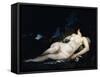 Study for a Woman Sleeping, C.1852-Gustave Courbet-Framed Stretched Canvas