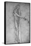 'Study for a Youthful St. John the Baptist', c1480 (1945)-Leonardo Da Vinci-Framed Stretched Canvas
