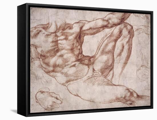 Study for Adam-Michelangelo-Framed Stretched Canvas