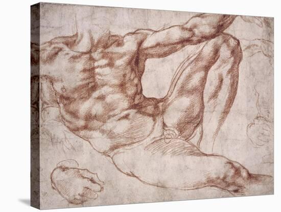 Study for Adam-Michelangelo-Stretched Canvas