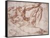 Study for Adam-Michelangelo-Framed Stretched Canvas