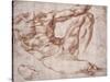 Study for Adam-Michelangelo-Stretched Canvas