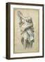 Study for an Apostle-Bernardino Gatti-Framed Giclee Print