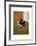 Study for Bullfight no. 1, c.1969-Francis Bacon-Framed Art Print