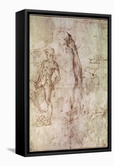 Study for David-Michelangelo Buonarroti-Framed Stretched Canvas