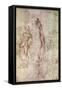 Study for David-Michelangelo Buonarroti-Framed Stretched Canvas