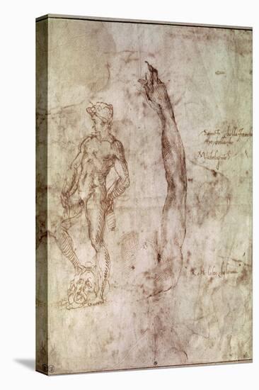 Study for David-Michelangelo Buonarroti-Stretched Canvas