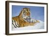 Study for Exodus-Rusty Frentner-Framed Giclee Print