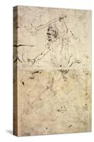 Study for Hercules and Hydra of Lerna-Antonio Pollaiuolo-Stretched Canvas