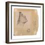 Study for 'Lamia', C.1904-05 (Pencil on Paper)-John William Waterhouse-Framed Premium Giclee Print