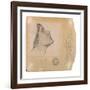 Study for 'Lamia', C.1904-05 (Pencil on Paper)-John William Waterhouse-Framed Giclee Print