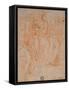 Study for Madonna of the Long Neck-Parmigianino-Framed Stretched Canvas