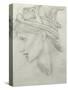 Study for Nimue for 'Merlin and Nimue', 1870-Edward Burne-Jones-Stretched Canvas