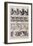 Study for Plate 60 of 'Documents Decoratifs', 1902-Alphonse Mucha-Framed Giclee Print