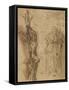 Study for Polycrates Crucifixion, C.1662-Salvator Rosa-Framed Stretched Canvas