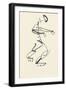 Study for 'Red Stone Dancer', 1914-Henri Gaudier-brzeska-Framed Giclee Print