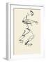Study for 'Red Stone Dancer', 1914-Henri Gaudier-brzeska-Framed Giclee Print