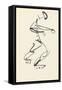 Study for 'Red Stone Dancer', 1914-Henri Gaudier-brzeska-Framed Stretched Canvas