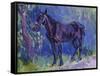 Study for Sussex Farm Horse-Robert Bevan-Framed Stretched Canvas