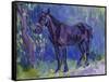 Study for Sussex Farm Horse-Robert Bevan-Framed Stretched Canvas