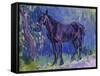 Study for Sussex Farm Horse-Robert Bevan-Framed Stretched Canvas