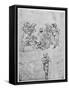 Study for the Adoration of the Magi, C1481-Leonardo da Vinci-Framed Stretched Canvas