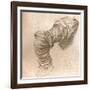 Study for the Arm of St Peter in the Last Supper, C1494-C1499 (1883)-Leonardo da Vinci-Framed Giclee Print