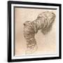 Study for the Arm of St Peter in the Last Supper, C1494-C1499 (1883)-Leonardo da Vinci-Framed Giclee Print