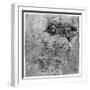 Study for the Battle of Anghiari, 1503-Leonardo da Vinci-Framed Giclee Print