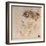 Study for the Battle of Anghiari, 1504-5-Leonardo da Vinci-Framed Giclee Print